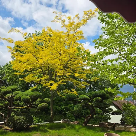 Gemuetliche Mit Terrasse Mit Tollem Fernblick