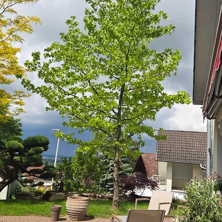 Gemuetliche Mit Terrasse Mit Tollem Fernblick * Alzenau